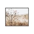 Picture of Neutral Grasses _GroupedProduct_Rectangle_Landscape_Photography _GroupedProduct_Rectangle_Landscape_Canvas_Framed_