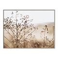 Picture of Neutral Grasses _GroupedProduct_Rectangle_Landscape_Photography _GroupedProduct_Rectangle_Landscape_Canvas_Framed_