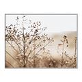 Picture of Neutral Grasses _GroupedProduct_Rectangle_Landscape_Photography _GroupedProduct_Rectangle_Landscape_Canvas_Framed_