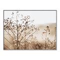 Picture of Neutral Grasses _GroupedProduct_Rectangle_Landscape_Photography _GroupedProduct_Rectangle_Landscape_Canvas_Framed_