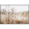 Picture of Neutral Grasses _GroupedProduct_Rectangle_Landscape_Photography _GroupedProduct_Rectangle_Landscape_Canvas_Framed_