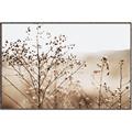 Picture of Neutral Grasses _GroupedProduct_Rectangle_Landscape_Photography _GroupedProduct_Rectangle_Landscape_Canvas_Framed_