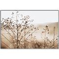 Picture of Neutral Grasses _GroupedProduct_Rectangle_Landscape_Photography _GroupedProduct_Rectangle_Landscape_Canvas_Framed_