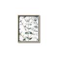 Picture of Eucalyptus Vine _GroupedProduct_Rectangle_Portrait_Photography _GroupedProduct_Rectangle_Portrait_Canvas_Framed_