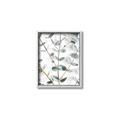 Picture of Eucalyptus Vine _GroupedProduct_Rectangle_Portrait_Photography _GroupedProduct_Rectangle_Portrait_Canvas_Framed_