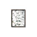 Picture of Eucalyptus Vine _GroupedProduct_Rectangle_Portrait_Photography _GroupedProduct_Rectangle_Portrait_Canvas_Framed_