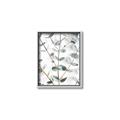 Picture of Eucalyptus Vine _GroupedProduct_Rectangle_Portrait_Photography _GroupedProduct_Rectangle_Portrait_Canvas_Framed_