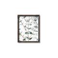 Picture of Eucalyptus Vine _GroupedProduct_Rectangle_Portrait_Photography _GroupedProduct_Rectangle_Portrait_Canvas_Framed_