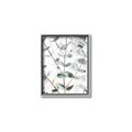 Picture of Eucalyptus Vine _GroupedProduct_Rectangle_Portrait_Photography _GroupedProduct_Rectangle_Portrait_Canvas_Framed_