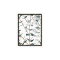 Picture of Eucalyptus Vine _GroupedProduct_Rectangle_Portrait_Photography _GroupedProduct_Rectangle_Portrait_Canvas_Framed_