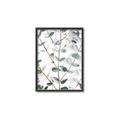 Picture of Eucalyptus Vine _GroupedProduct_Rectangle_Portrait_Photography _GroupedProduct_Rectangle_Portrait_Canvas_Framed_