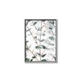 Picture of Eucalyptus Vine _GroupedProduct_Rectangle_Portrait_Photography _GroupedProduct_Rectangle_Portrait_Canvas_Framed_