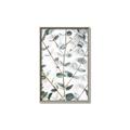 Picture of Eucalyptus Vine _GroupedProduct_Rectangle_Portrait_Photography _GroupedProduct_Rectangle_Portrait_Canvas_Framed_