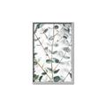 Picture of Eucalyptus Vine _GroupedProduct_Rectangle_Portrait_Photography _GroupedProduct_Rectangle_Portrait_Canvas_Framed_