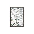 Picture of Eucalyptus Vine _GroupedProduct_Rectangle_Portrait_Photography _GroupedProduct_Rectangle_Portrait_Canvas_Framed_