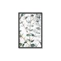 Picture of Eucalyptus Vine _GroupedProduct_Rectangle_Portrait_Photography _GroupedProduct_Rectangle_Portrait_Canvas_Framed_