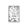 Picture of Eucalyptus Vine _GroupedProduct_Rectangle_Portrait_Photography _GroupedProduct_Rectangle_Portrait_Canvas_Framed_
