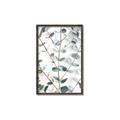 Picture of Eucalyptus Vine _GroupedProduct_Rectangle_Portrait_Photography _GroupedProduct_Rectangle_Portrait_Canvas_Framed_