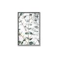 Picture of Eucalyptus Vine _GroupedProduct_Rectangle_Portrait_Photography _GroupedProduct_Rectangle_Portrait_Canvas_Framed_