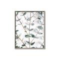 Picture of Eucalyptus Vine _GroupedProduct_Rectangle_Portrait_Photography _GroupedProduct_Rectangle_Portrait_Canvas_Framed_