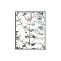 Picture of Eucalyptus Vine _GroupedProduct_Rectangle_Portrait_Photography _GroupedProduct_Rectangle_Portrait_Canvas_Framed_