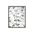 Picture of Eucalyptus Vine _GroupedProduct_Rectangle_Portrait_Photography _GroupedProduct_Rectangle_Portrait_Canvas_Framed_