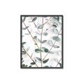 Picture of Eucalyptus Vine _GroupedProduct_Rectangle_Portrait_Photography _GroupedProduct_Rectangle_Portrait_Canvas_Framed_