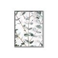Picture of Eucalyptus Vine _GroupedProduct_Rectangle_Portrait_Photography _GroupedProduct_Rectangle_Portrait_Canvas_Framed_