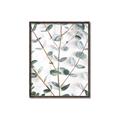 Picture of Eucalyptus Vine _GroupedProduct_Rectangle_Portrait_Photography _GroupedProduct_Rectangle_Portrait_Canvas_Framed_