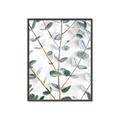 Picture of Eucalyptus Vine _GroupedProduct_Rectangle_Portrait_Photography _GroupedProduct_Rectangle_Portrait_Canvas_Framed_