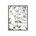 Picture of Eucalyptus Vine _GroupedProduct_Rectangle_Portrait_Photography _GroupedProduct_Rectangle_Portrait_Canvas_Framed_