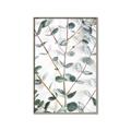 Picture of Eucalyptus Vine _GroupedProduct_Rectangle_Portrait_Photography _GroupedProduct_Rectangle_Portrait_Canvas_Framed_