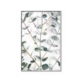 Picture of Eucalyptus Vine _GroupedProduct_Rectangle_Portrait_Photography _GroupedProduct_Rectangle_Portrait_Canvas_Framed_