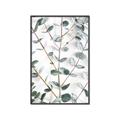 Picture of Eucalyptus Vine _GroupedProduct_Rectangle_Portrait_Photography _GroupedProduct_Rectangle_Portrait_Canvas_Framed_
