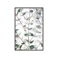 Picture of Eucalyptus Vine _GroupedProduct_Rectangle_Portrait_Photography _GroupedProduct_Rectangle_Portrait_Canvas_Framed_