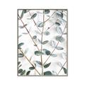 Picture of Eucalyptus Vine _GroupedProduct_Rectangle_Portrait_Photography _GroupedProduct_Rectangle_Portrait_Canvas_Framed_