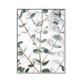 Picture of Eucalyptus Vine _GroupedProduct_Rectangle_Portrait_Photography _GroupedProduct_Rectangle_Portrait_Canvas_Framed_