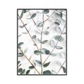 Picture of Eucalyptus Vine _GroupedProduct_Rectangle_Portrait_Photography _GroupedProduct_Rectangle_Portrait_Canvas_Framed_
