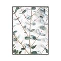Picture of Eucalyptus Vine _GroupedProduct_Rectangle_Portrait_Photography _GroupedProduct_Rectangle_Portrait_Canvas_Framed_