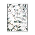 Picture of Eucalyptus Vine _GroupedProduct_Rectangle_Portrait_Photography _GroupedProduct_Rectangle_Portrait_Canvas_Framed_