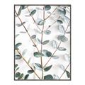 Picture of Eucalyptus Vine _GroupedProduct_Rectangle_Portrait_Photography _GroupedProduct_Rectangle_Portrait_Canvas_Framed_