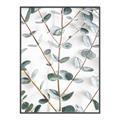 Picture of Eucalyptus Vine _GroupedProduct_Rectangle_Portrait_Photography _GroupedProduct_Rectangle_Portrait_Canvas_Framed_