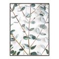Picture of Eucalyptus Vine _GroupedProduct_Rectangle_Portrait_Photography _GroupedProduct_Rectangle_Portrait_Canvas_Framed_