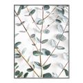 Picture of Eucalyptus Vine _GroupedProduct_Rectangle_Portrait_Photography _GroupedProduct_Rectangle_Portrait_Canvas_Framed_
