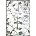 Picture of Eucalyptus Vine _GroupedProduct_Rectangle_Portrait_Photography _GroupedProduct_Rectangle_Portrait_Canvas_Framed_