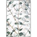 Picture of Eucalyptus Vine _GroupedProduct_Rectangle_Portrait_Photography _GroupedProduct_Rectangle_Portrait_Canvas_Framed_