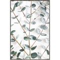 Picture of Eucalyptus Vine _GroupedProduct_Rectangle_Portrait_Photography _GroupedProduct_Rectangle_Portrait_Canvas_Framed_