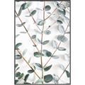 Picture of Eucalyptus Vine _GroupedProduct_Rectangle_Portrait_Photography _GroupedProduct_Rectangle_Portrait_Canvas_Framed_