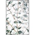 Picture of Eucalyptus Vine _GroupedProduct_Rectangle_Portrait_Photography _GroupedProduct_Rectangle_Portrait_Canvas_Framed_