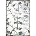 Picture of Eucalyptus Vine _GroupedProduct_Rectangle_Portrait_Photography _GroupedProduct_Rectangle_Portrait_Canvas_Framed_